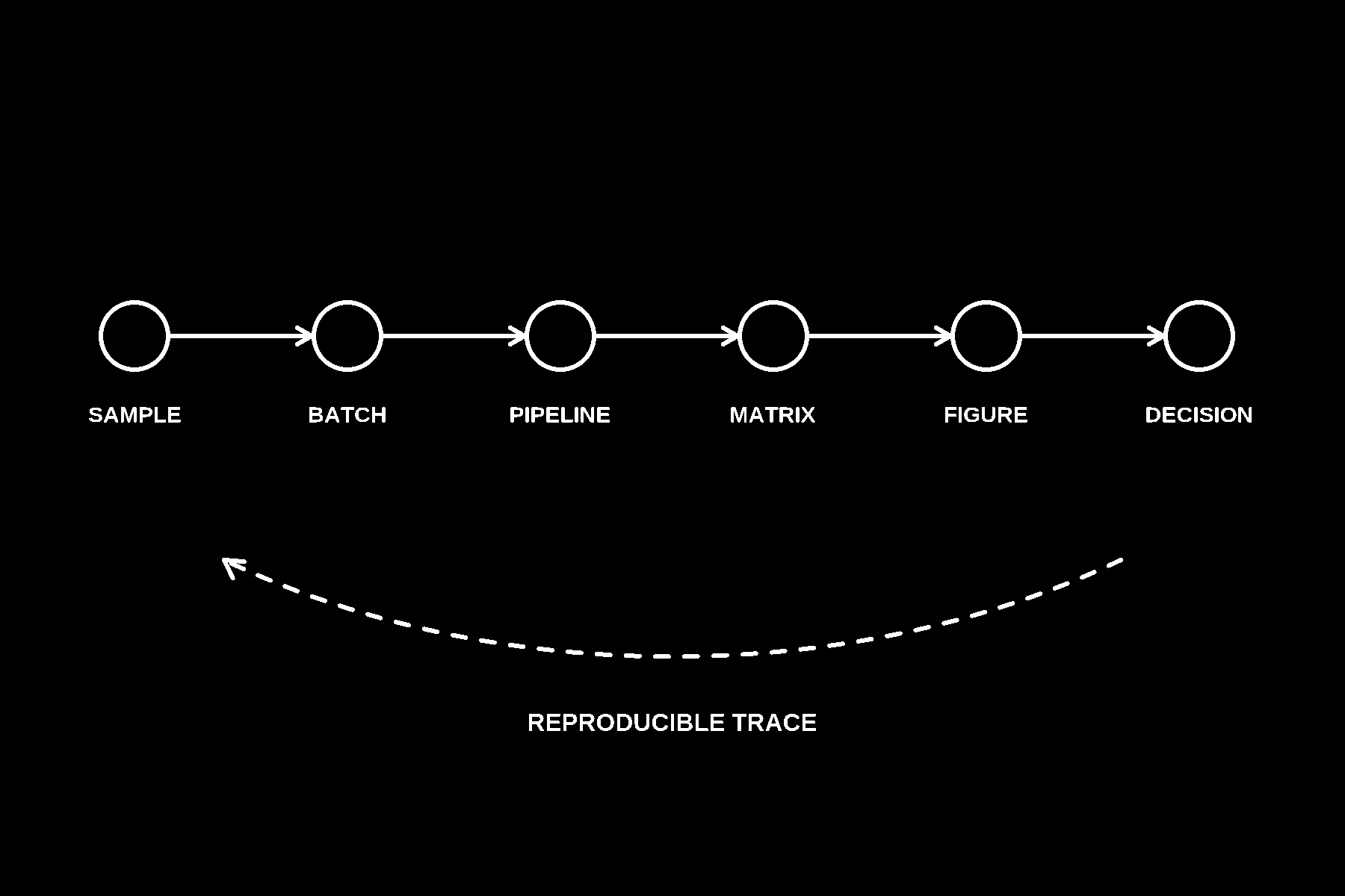 Reproducible Batching Omics & Computational Evidence Chain | SignalForge Advisors